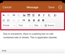 Message formatting options.