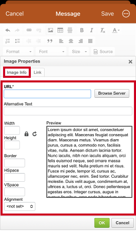 Image properties, image info fields.