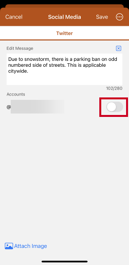 Social media accounts toggle.