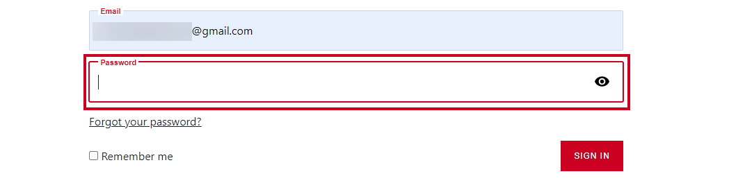 SSO Password Field.